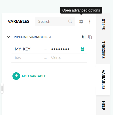 Pipeline environment variables