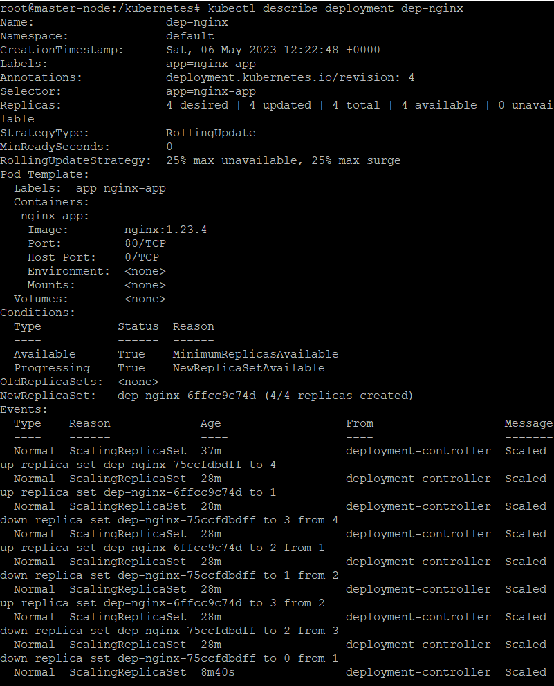 Example 4 output - describe deployment