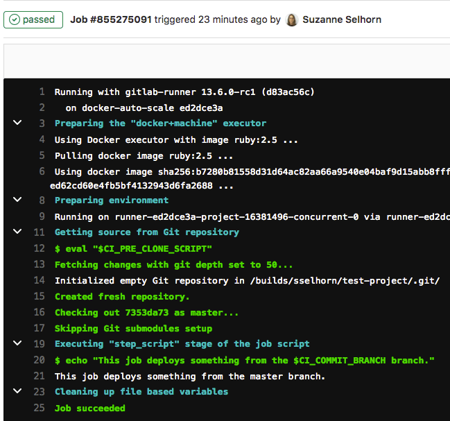 GitLab CI/CD job details